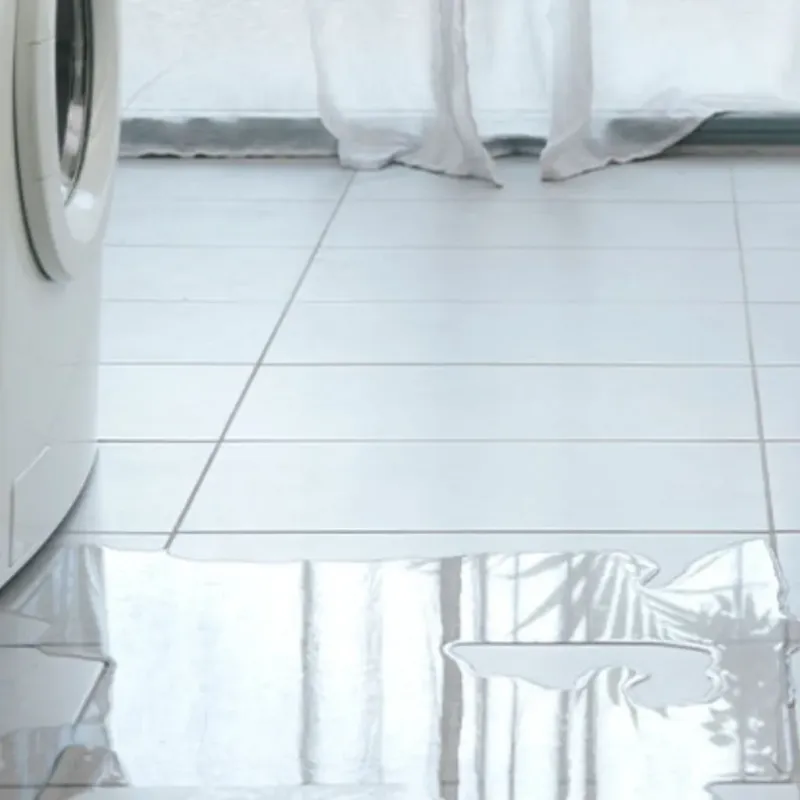 Appliance Leak Cleanup in Greenup, IL
