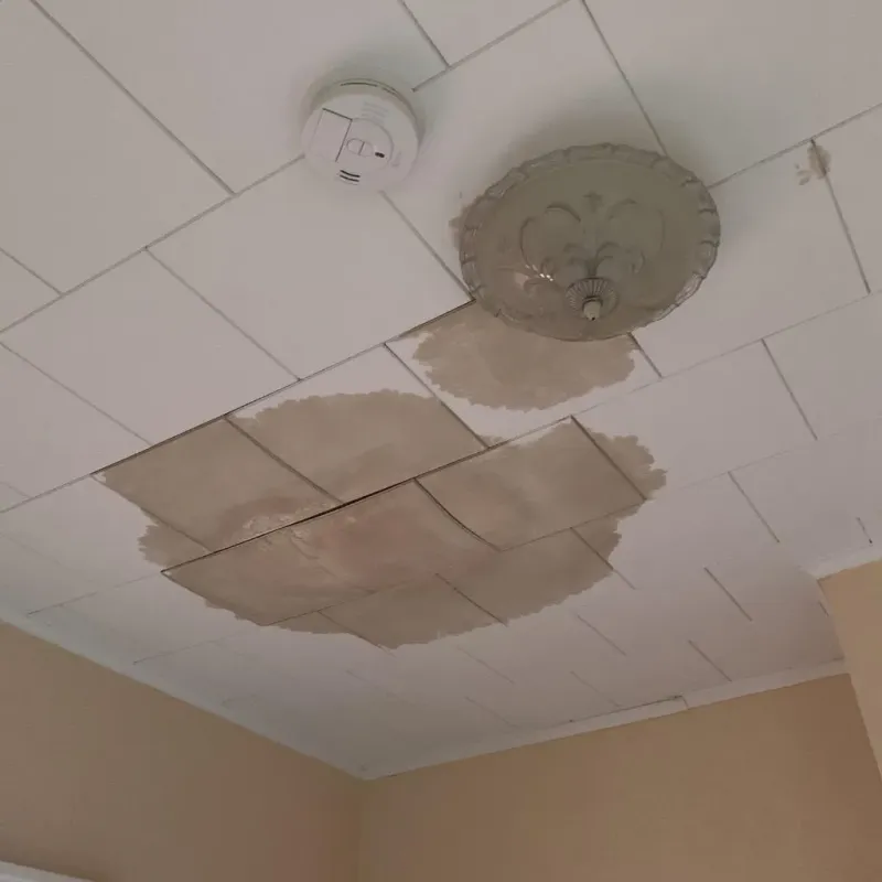 Ceiling Water Damage Repair in Greenup, IL