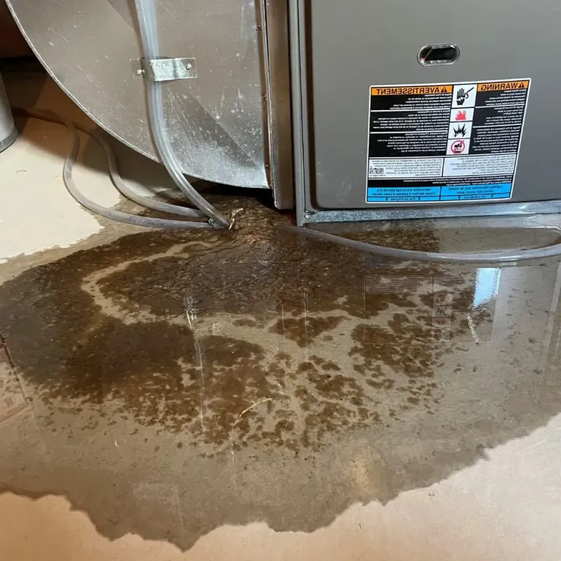 Pipe Burst and Leak Restoration in Greenup, IL
