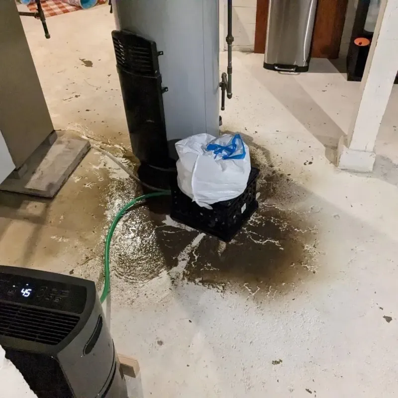 Sewage Backup Cleanup Service in Greenup, IL